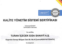 ISO 9001 - Kalite Yönetim Sistemleri Sertifikası