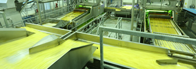 Onion Rings and Potato Croquette Production Plant Began Production