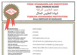 Tse Halal Certificate