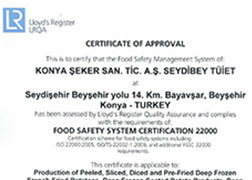 Seydibey - FSSC 22000 Certificate