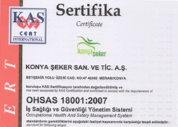 OHSAS 18001:2007 Occupational Health and Safety Management System Certificate