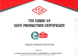 TSE COVID-19 SAFE PRODUCTION CERTIFICATE