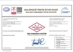 TSE ISO EN 22000 BELGESİ