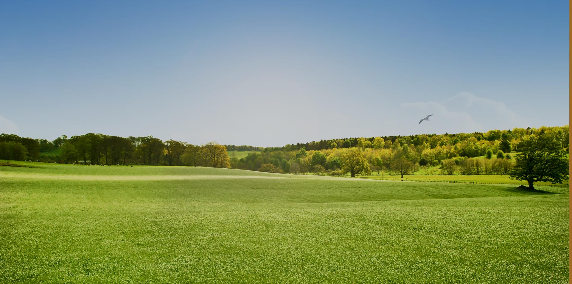 Miniki Çikolata ve Çikolata Kaplamalılar