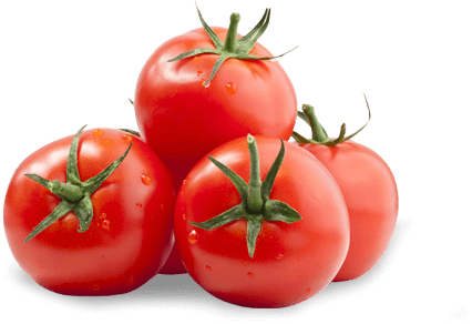 Tomato  - Torku
