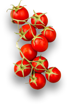 Torku Anadolunun Tadı