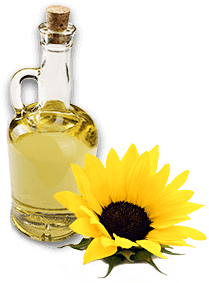 Torku Doğadan Sofranıza